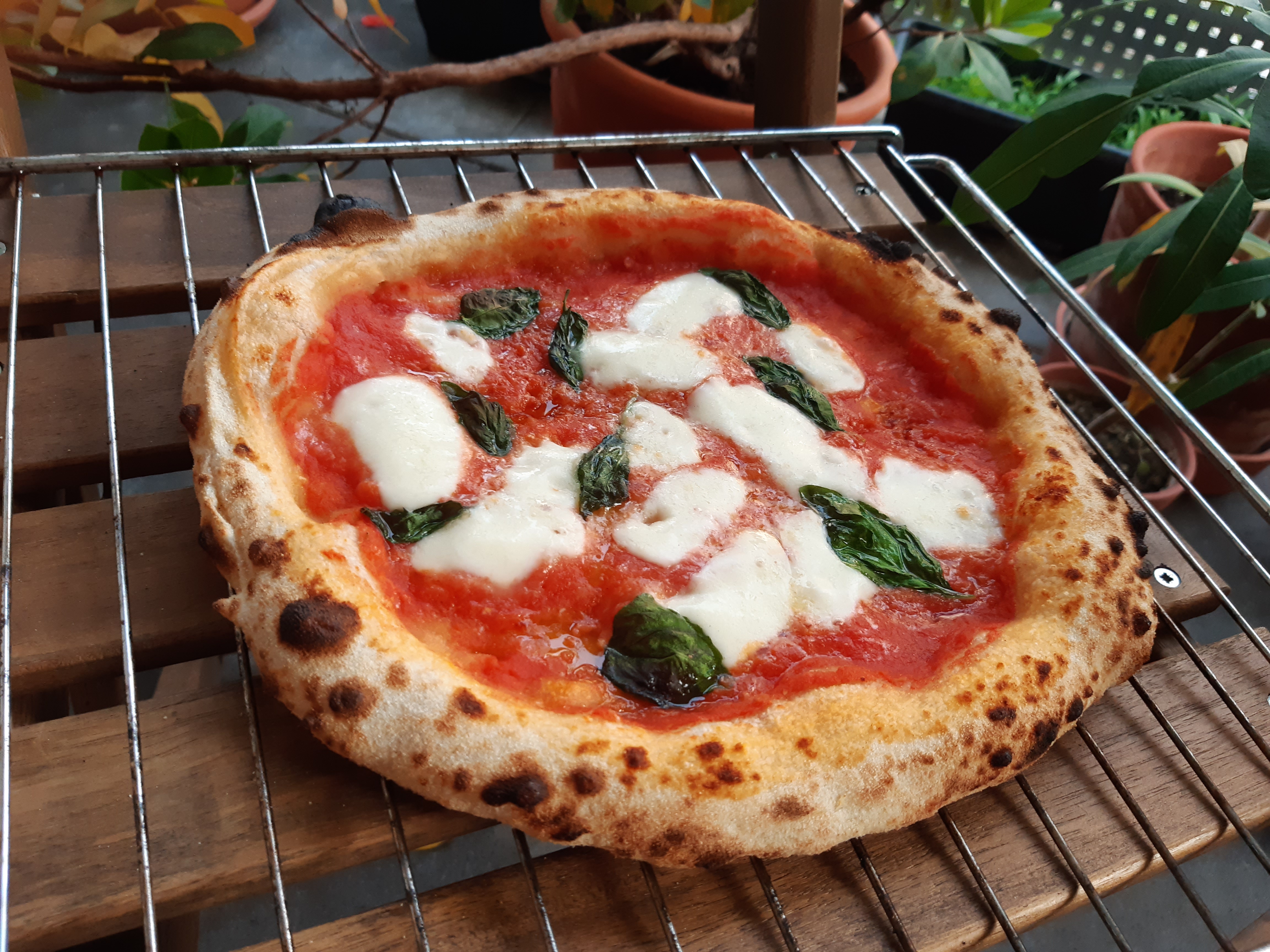 Margherita