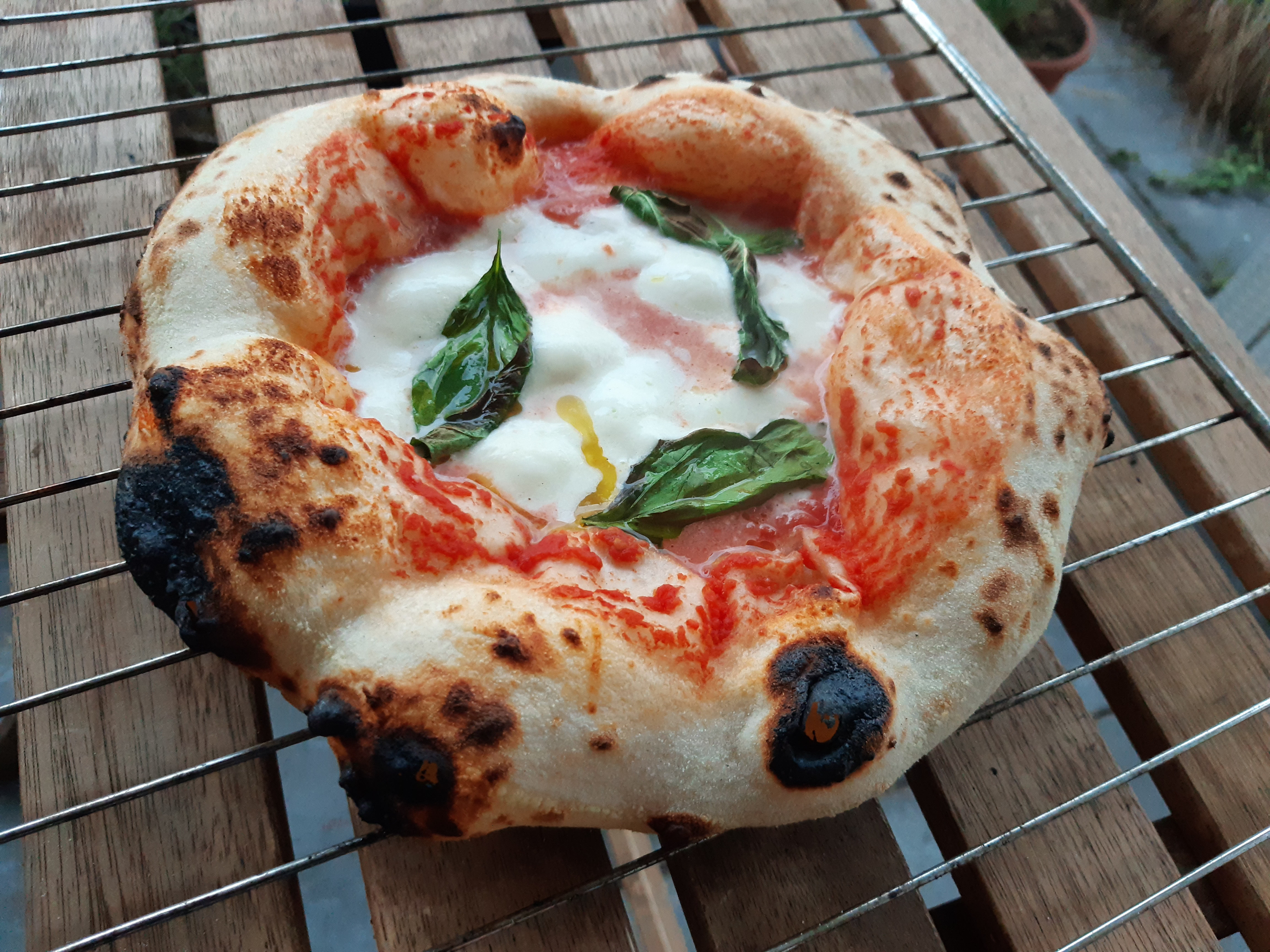 Margherita