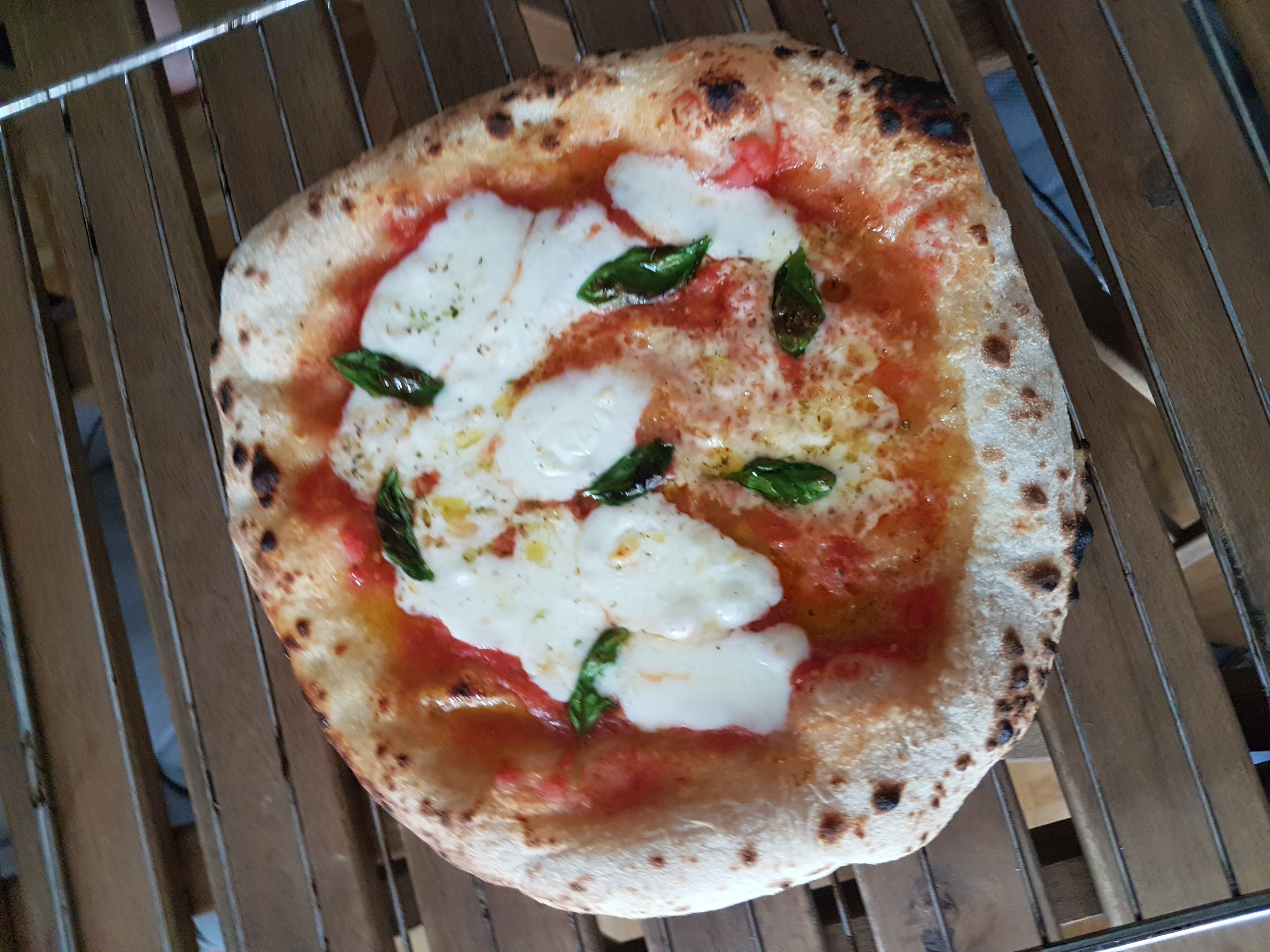 Margherita